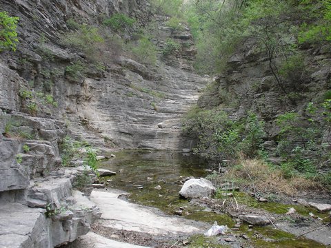 xiongmao体育-
做有温度的医者|一封谢谢信 真情暖人心(图4) panda sports