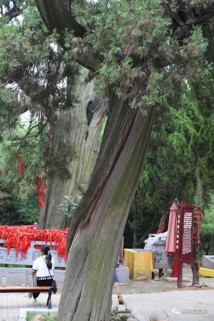 panda sports:传统文化议论文800字高中,中国传统文化800字作文,(图1) panda sports