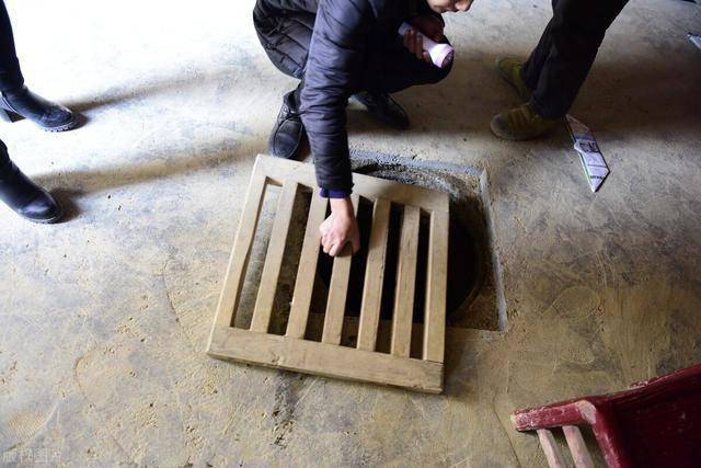 xiongmao体育|
囤菜季到了 东北大娘雇车屯300斤白菜 南方人表现很不明白(图7) xiongmao体育|
囤菜季到了 东北大娘雇车屯300斤白菜 南方人表现很不明白(图7)