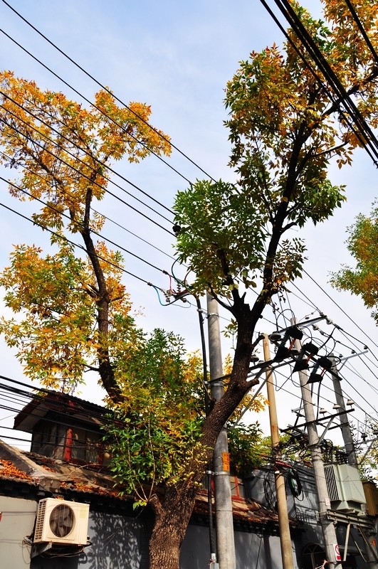 《为战而生》更新 玩家将免费解锁25名角色_xiongmao体育(图2) 熊猫体育