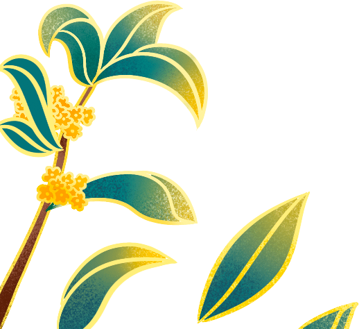 panda sports：
用心服务  缔造价值(图5)