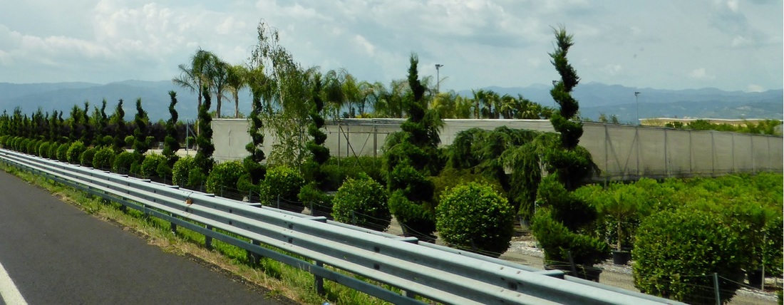 散热器十大排名品牌枫度告诉您怎样选购暖气片?“panda sports”(图2) xiongmao体育