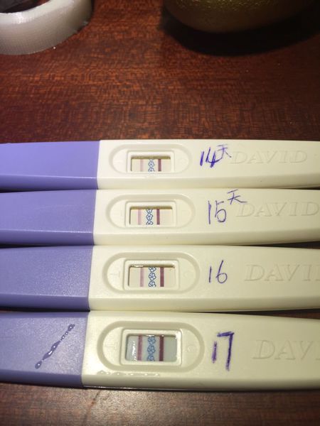 NVIDIA助阵《神舞幻想》 Ansel游戏摄影活动开幕-xiongmao体育(图1) 熊猫体育