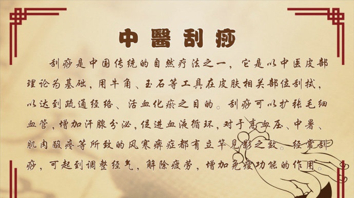 小翼语录“熊猫体育”(图4) 熊猫体育