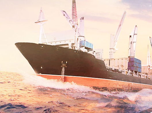 这个国家竟将30%的国民踢出国籍是为何?:熊猫体育(图1) panda sports