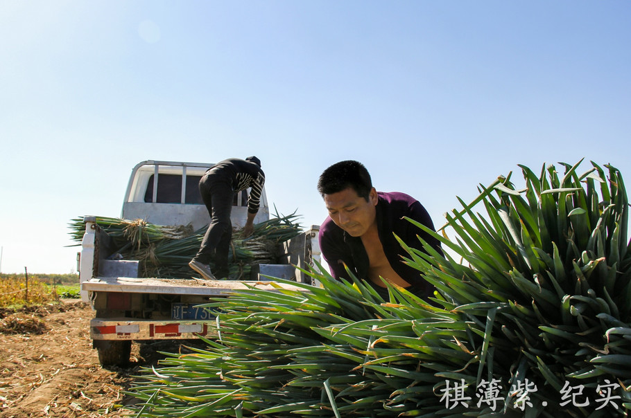 《NBA 2K18》新宣传视频公布 帅哥美女闪亮球场-panda sports(图1) 熊猫体育