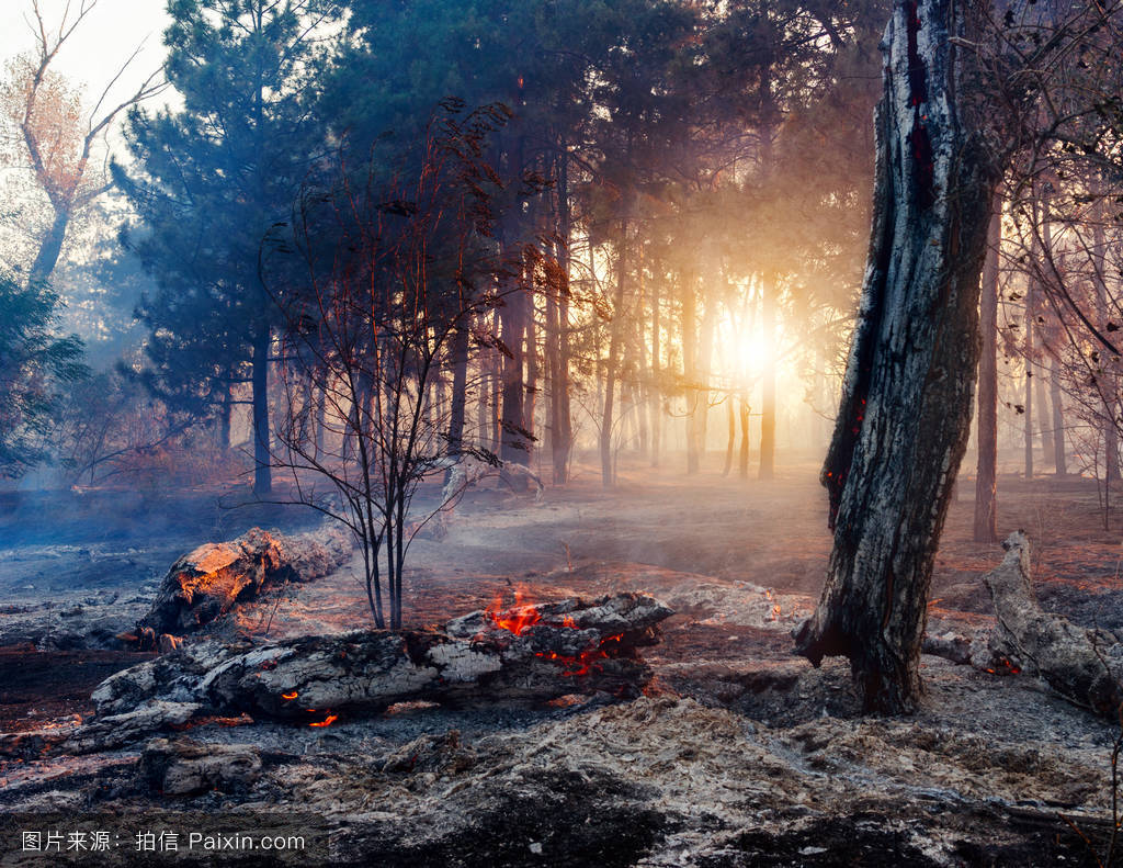 公务员招录来啦!最低学历初中可报?工人农民也有岗?-panda sports(图1) xiongmao体育