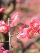 从中华民族发展史深刻认识中国梦和中国道路:xiongmao体育(图3) panda sports