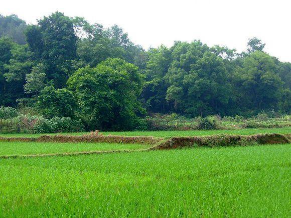 panda sports:前LOL成员最新游戏《无畏》公布游戏首款预告片(图4) xiongmao体育