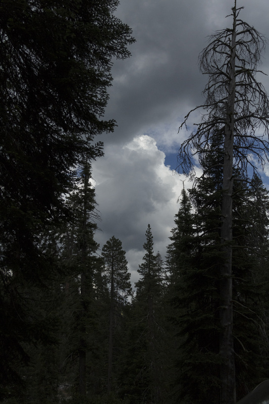 鸡黍之交:元伯和巨卿【熊猫体育】(图2) xiongmao体育