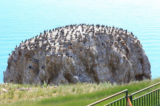 xiongmao体育-
如何一句话看出对方历史毛病(图4) xiongmao体育