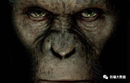 熊猫体育|经典单机《幻想三国志5》主角曝光 三国名将之后(图3) 熊猫体育