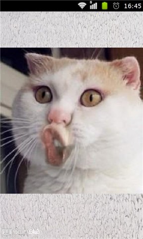 拥抱风潮,更需脚踏实地-熊猫体育(图3) panda sports